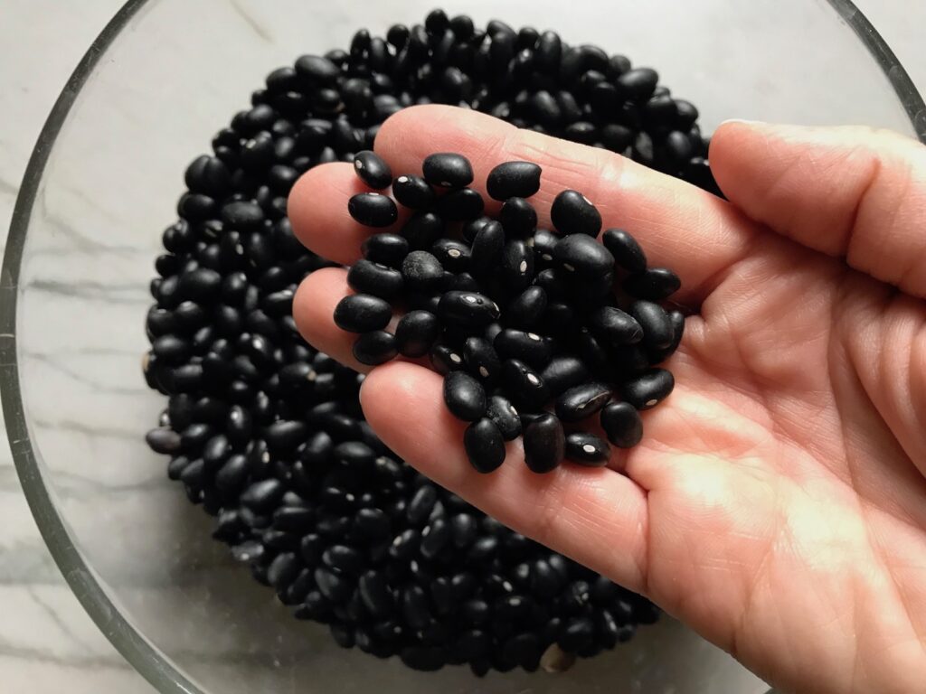 Hand hold dry black beans over a bowl of dry black beans for Brazilian beans recipe.