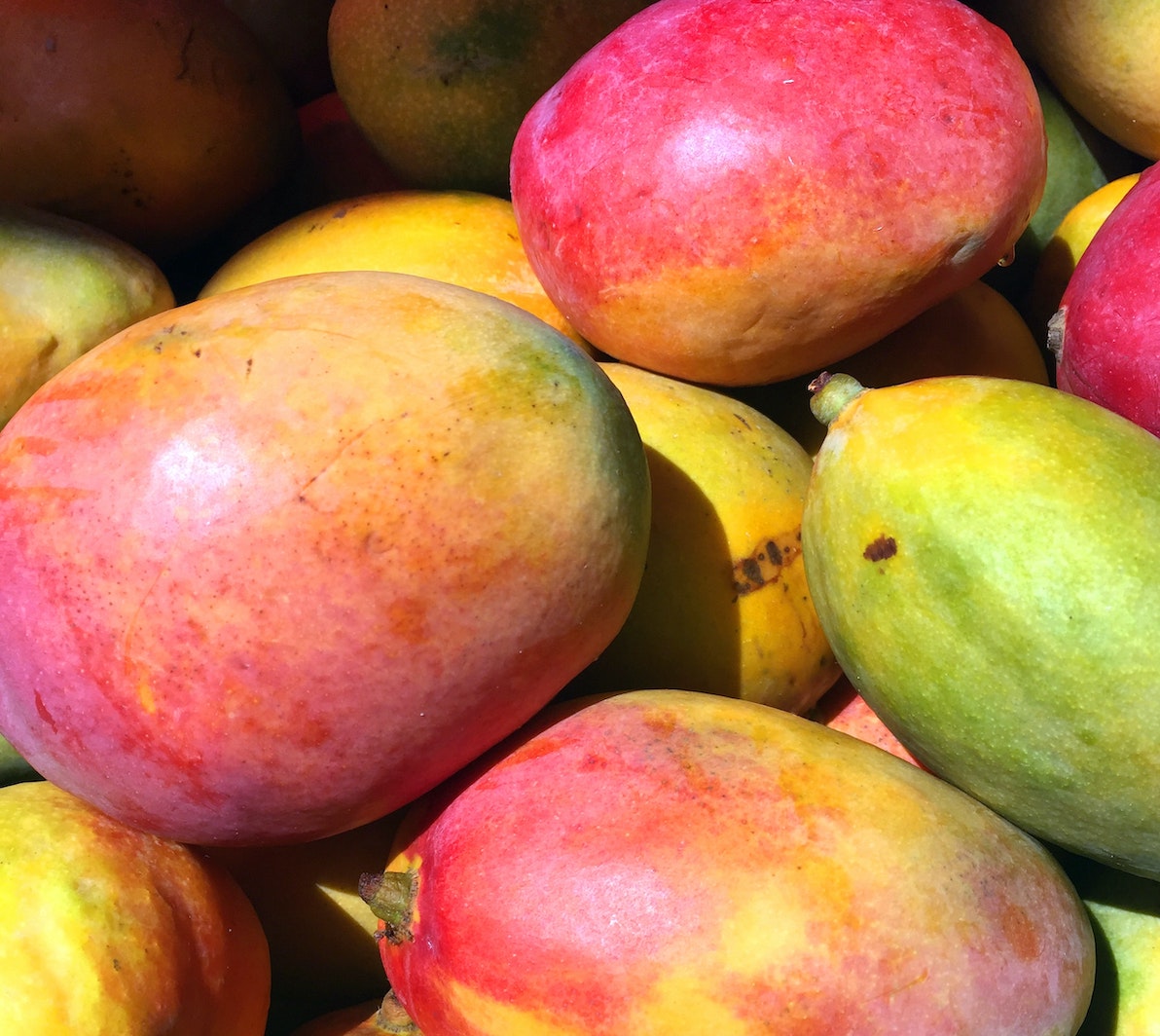 Pile of mangos in the sun for Spicy Mango Salsa recipe post.