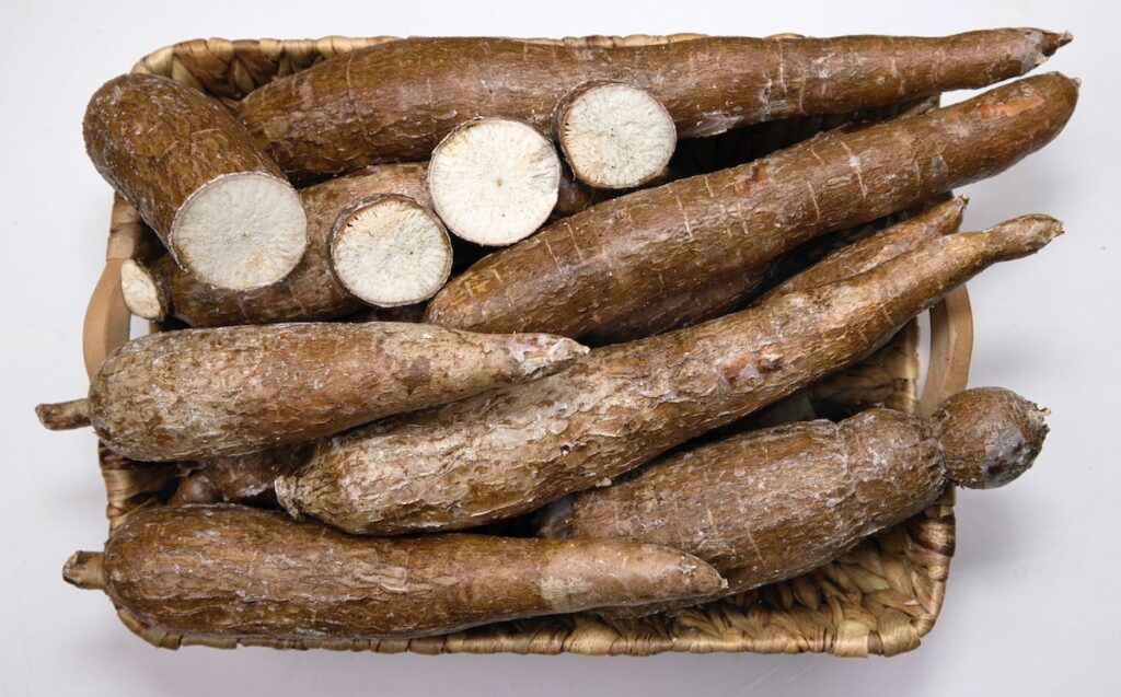 Picture of many yucca roots in a basket.