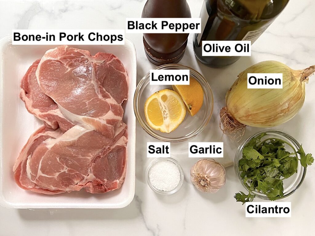 All ingredients measure out in bowls on counter and labeled for this Pork Chops with Onions recipe.